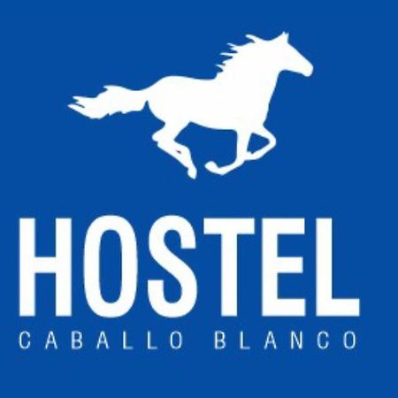 Hostel Caballo Blanco Cartagena Exterior foto